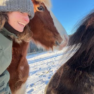 Horse & Talk