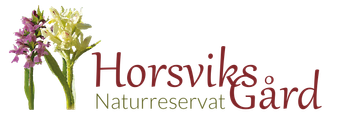 Horsviks Naturreservat