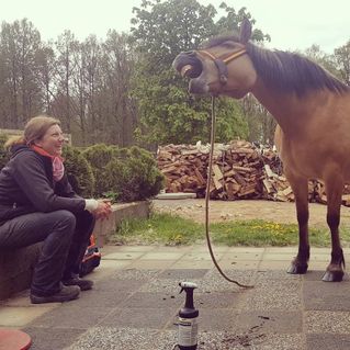 Sahara och Hov-Hanna mimik