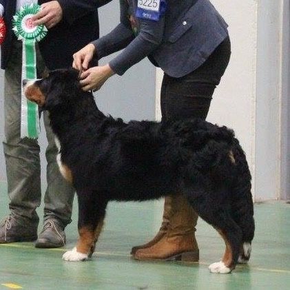 Macarena BIM 😀
Foto: Hilde M Moe 