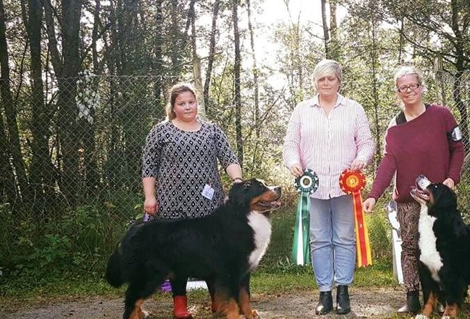 Bliss BIR og Ozzy BIM