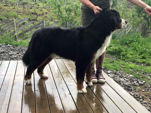 Barbro 1år 🥰
