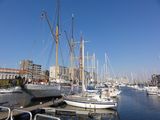 mercator 2