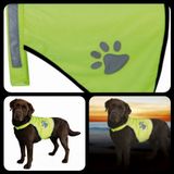 fluovest hond