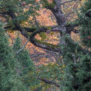 _58A6988-Redigera