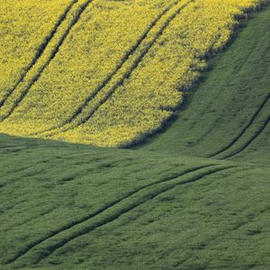 _58A2824-Redigera