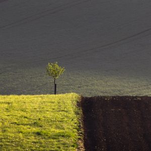 _58A2969-Redigera