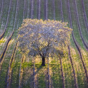 _58A3315-Redigera-Redigera-2