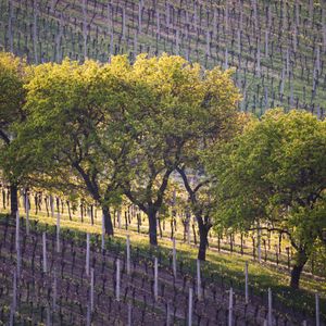 _58A3329-Redigera-Redigera