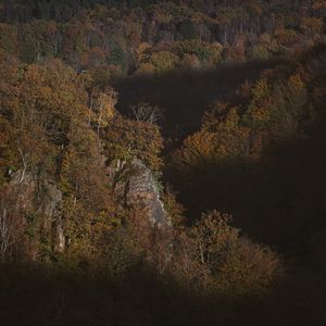 _58A7421-Redigera