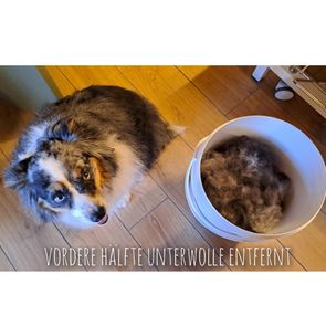 Unterwolle entfernt Teil 1