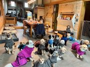 x9
