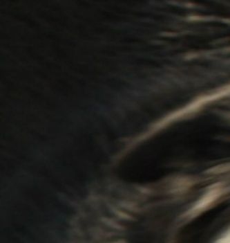 Hvad siger Cleo? :)
