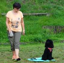 Carmen und Vito 2021 Sitz und Bleib
