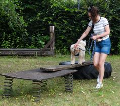 Laura und Peanut 2021 Steg mit Wackeltisch und Reifen