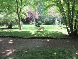 IMG_0023