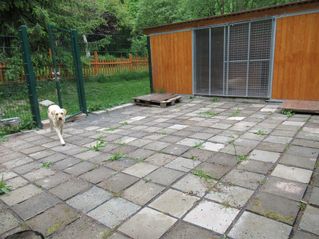 IMG_0030