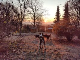 IMG_20191205_082138