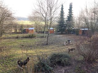 IMG_20191205_140909