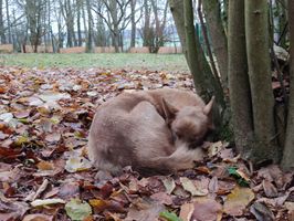 IMG_20191206_135521