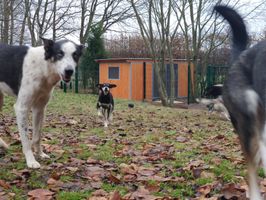 IMG_20191208_091719