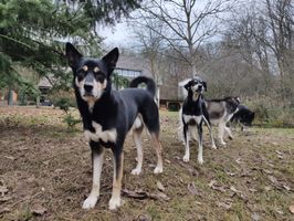 IMG_20191208_091909