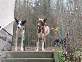 IMG_20191208_093014