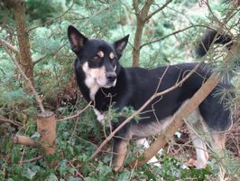 IMG_20191208_093155