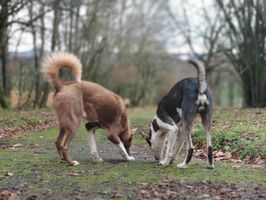 IMG_20191208_123111