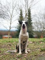 IMG_20191208_123315