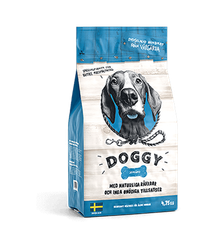 Doggy senior