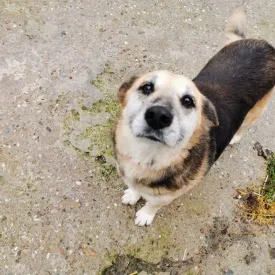 Rita
