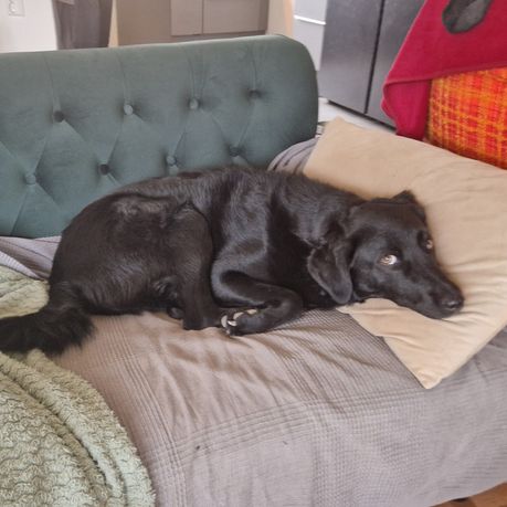 Dina i soffan