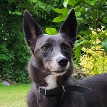 Ferdie