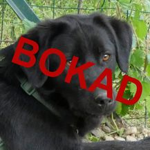 Ugo
