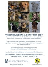 Annons "Att köpa hund - Att välja ras" 2 (kopia)