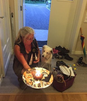 Anja & Cassie, Mästartiteln klar i Rallylydnad! Anja & Cassie, Mästartiteln klar i Rallylydnad!