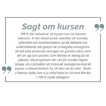 Sagt om 100%SITT