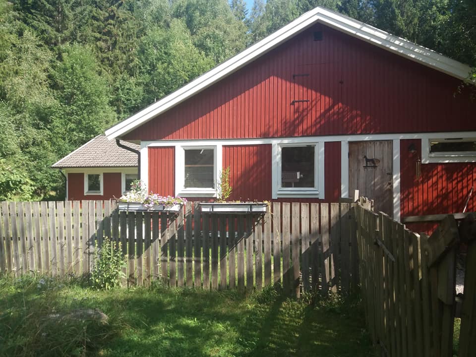 Antefas Hundpensionat galleri bild 1