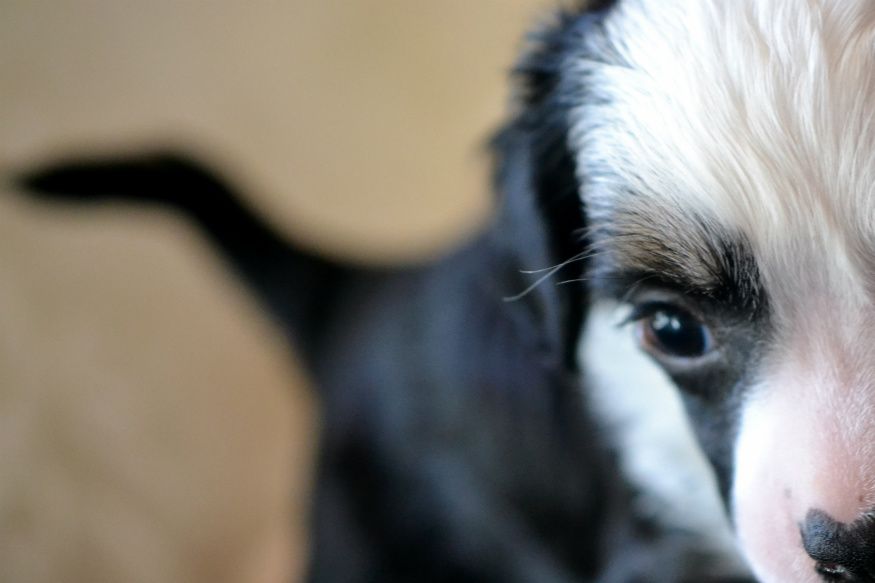 Favoritfotot från Gudarkullens fotografering. Fiiina killen =) Redan 4,5 veckor gammal...