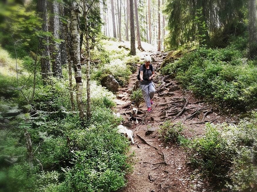 På långpromenad i en av de vackraste skogar jag varit i. Tivedens Nationalpark =) Alla våra tjejer hängde med. Supermysigt!