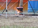 IMG_0494