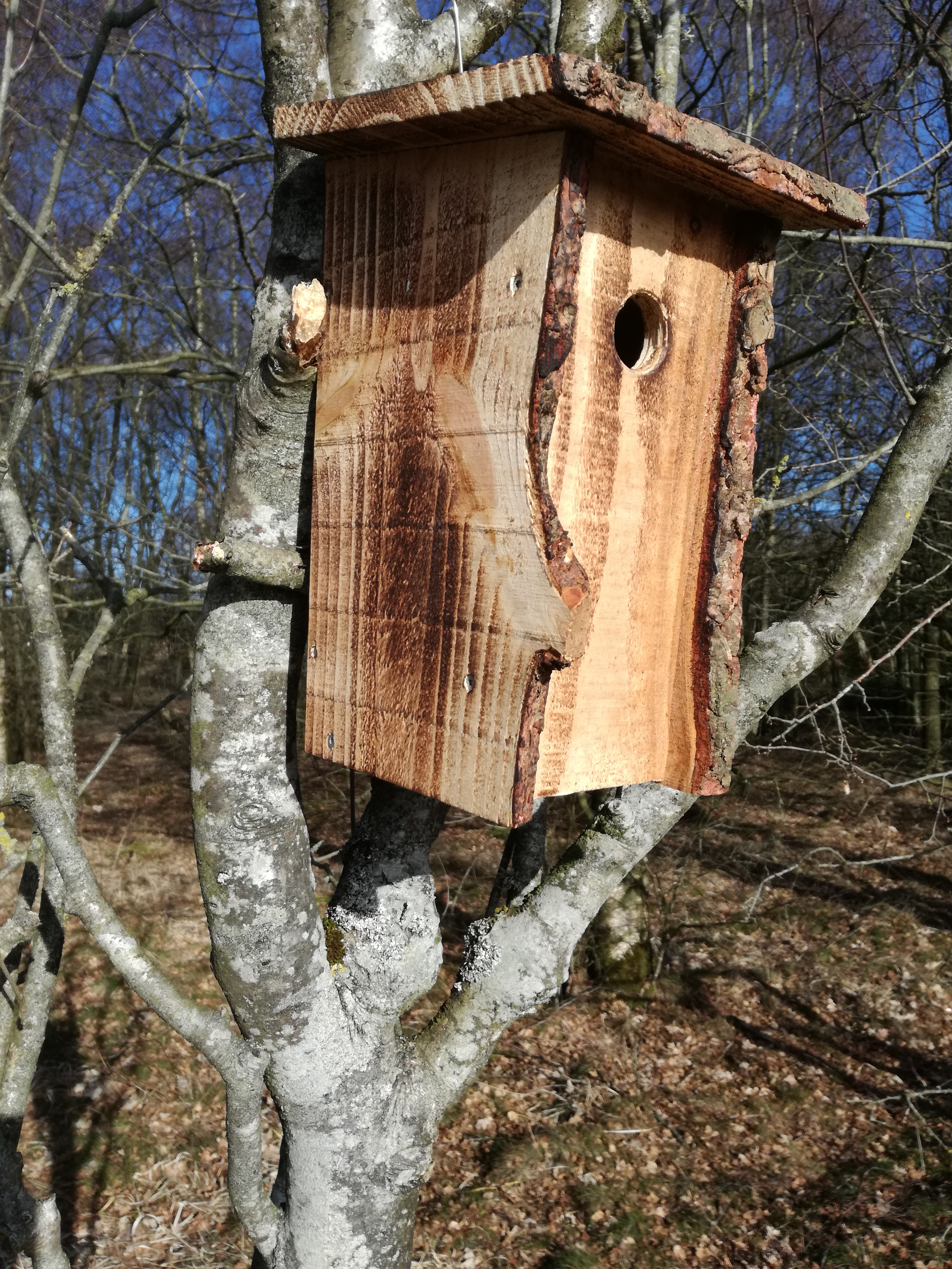 Nr 2. Spætmejsekasse