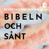 Bibelnochsånt