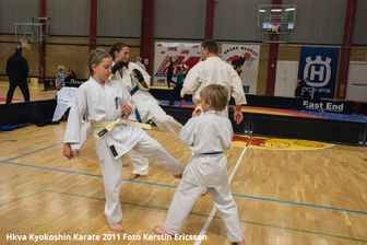 Hkva Kyokoshin Karate 2011_Foto Kerstin Ericsson