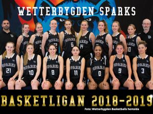 11-Wetterbygden Basketball Sparks lagbild 2018-2019_Foto WM hemsida