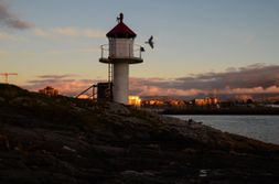 Gull-Fyret-Marit