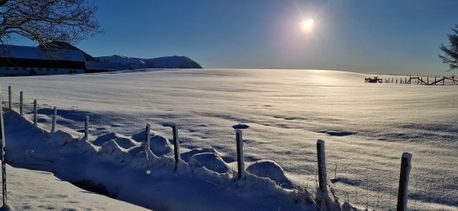 Vinterlys-Antatt-Britt-Ettermiddagssol