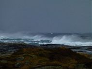 Antatt Storm Britt