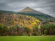 213248_Høstfarger